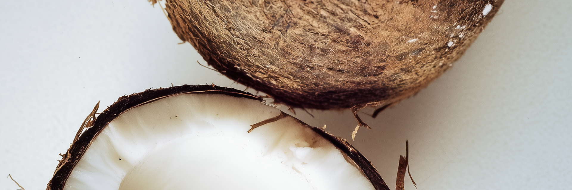 Coconut
