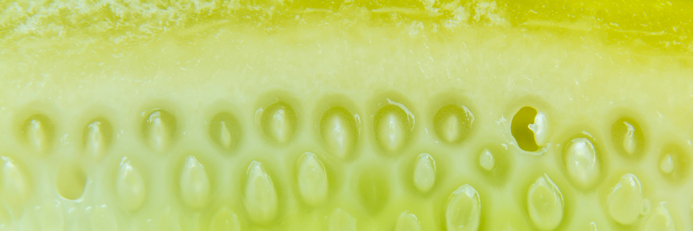 Cucumber Extract