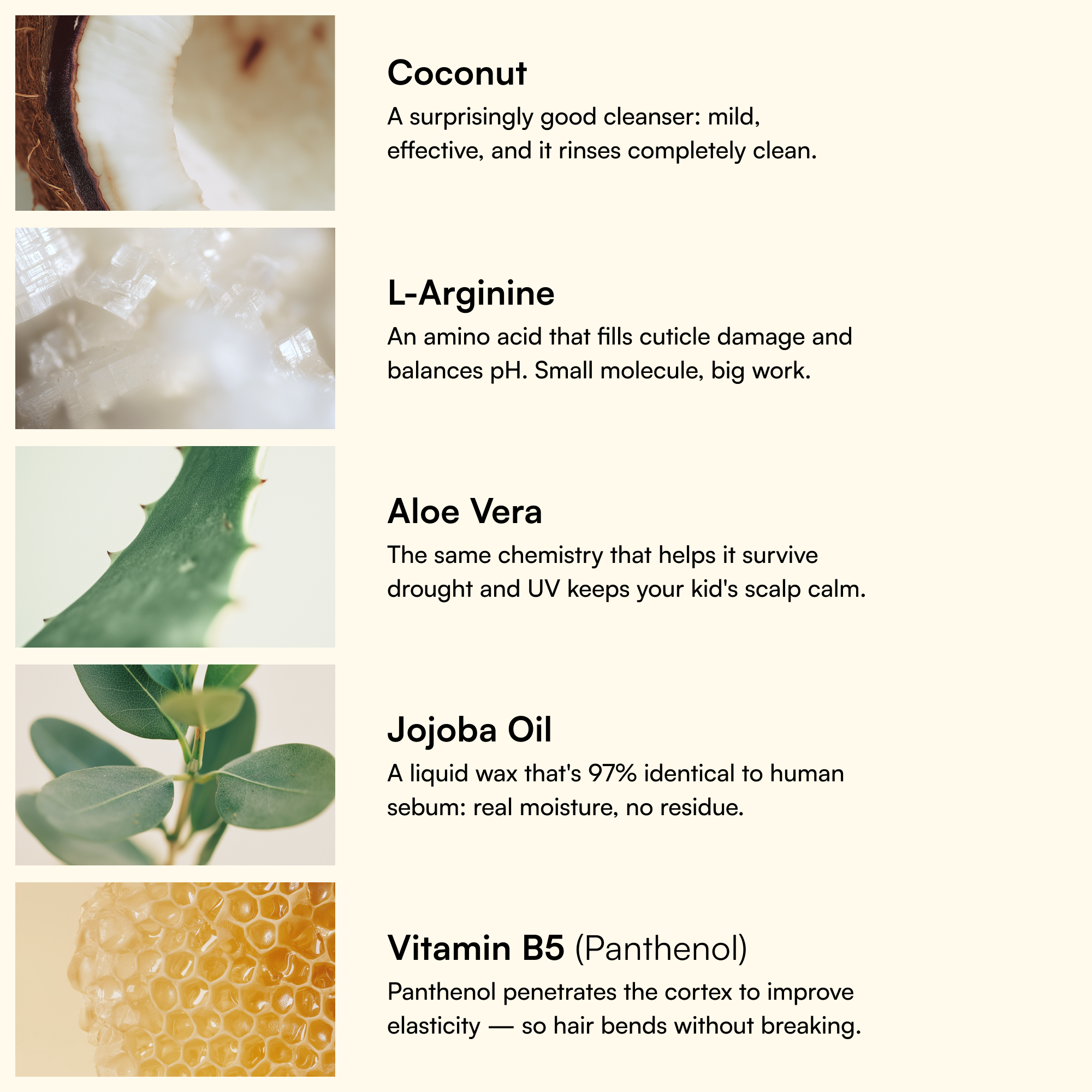 Daily Cleansing Shampoo